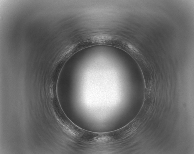 X0000061110452200511210938