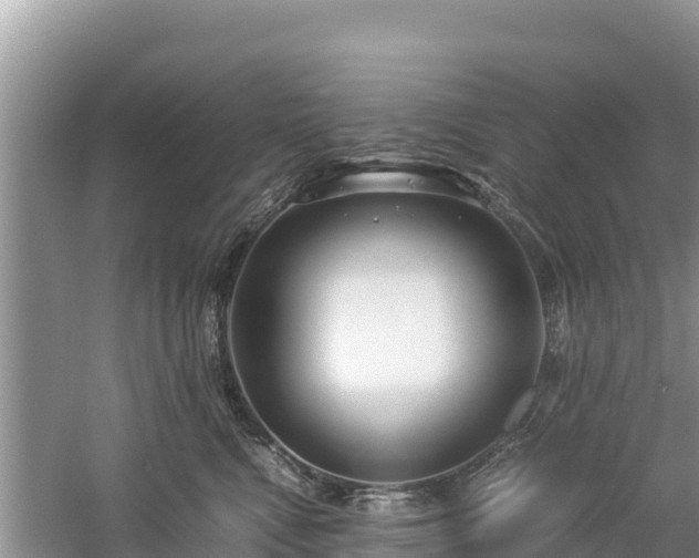 X0000061110472200511210939