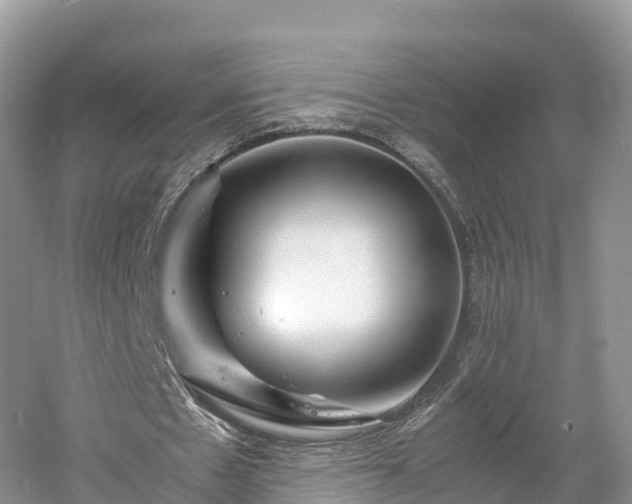 X0000061110481200511210938