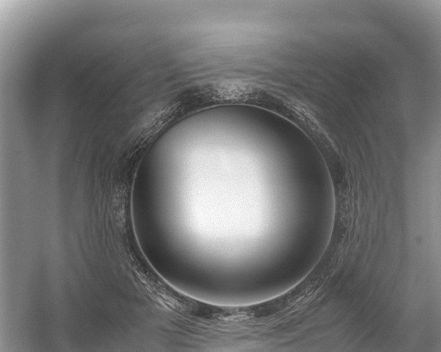 X0000061110505200511210937