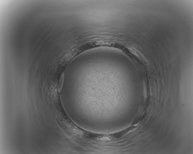 X0000061110513200511210937