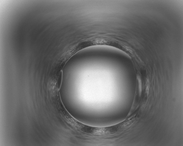 X0000061110521200511210937
