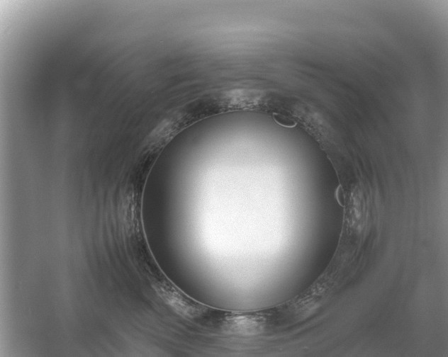 X0000061110522200511210937