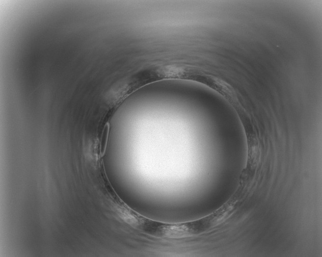 X0000061110525200511210937