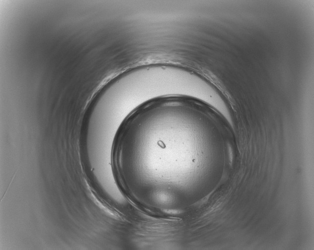 X0000061110530200511210936