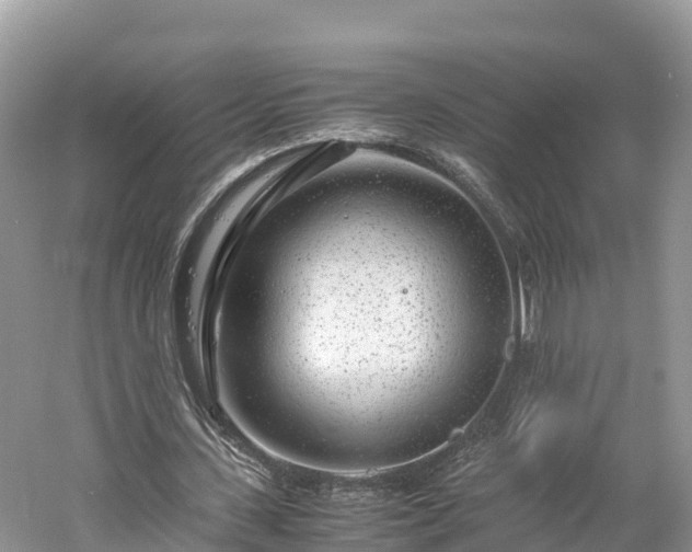 X0000061110531200511210936