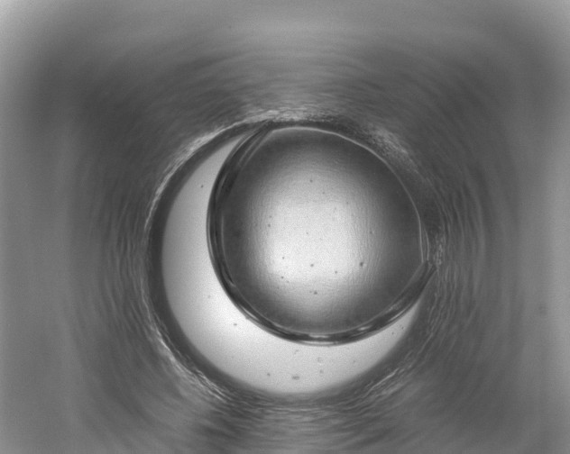 X0000061110540200511210936