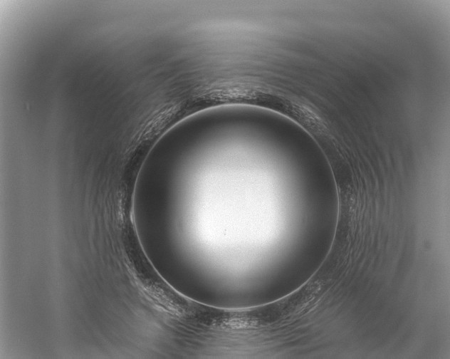 X0000061110546200511210937