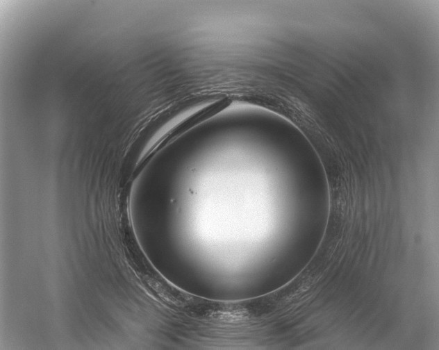 X0000061110548200511210937