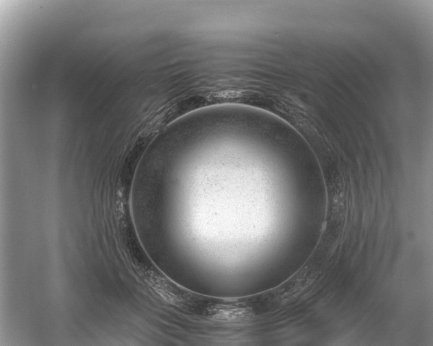 X0000061110555200511210937