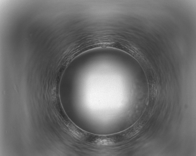 X0000061110557200511210937