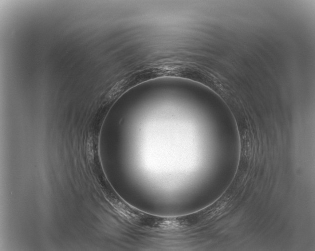 X0000061110562200511210937