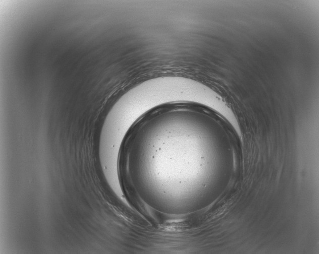 X0000061110564200511210937