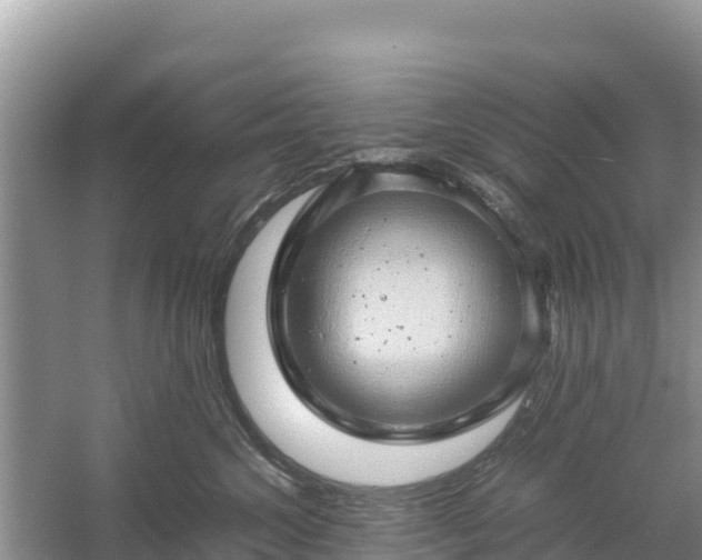 X0000061110572200511210937