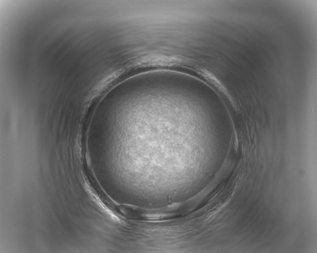 X0000061110581200511210936