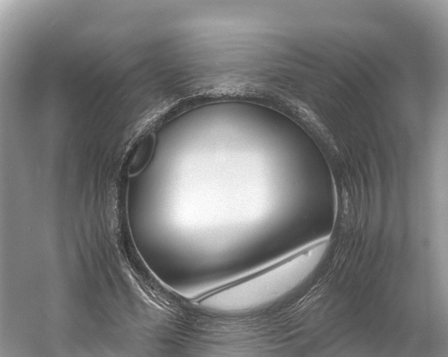 X0000061110588200511210936