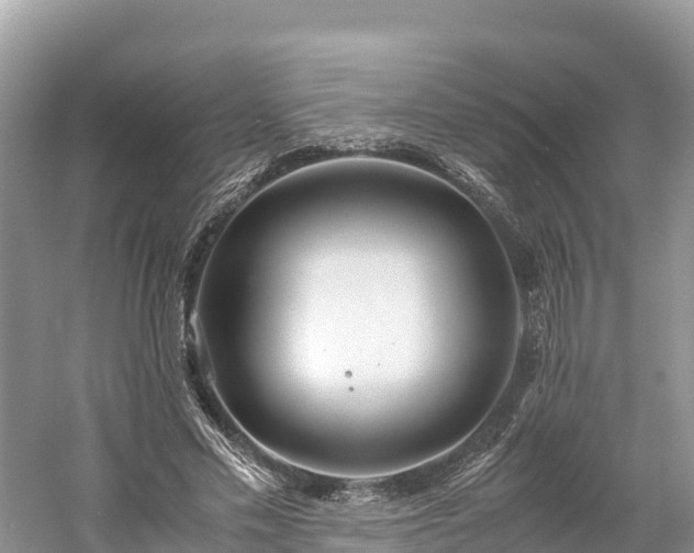 X0000061110589200511210936