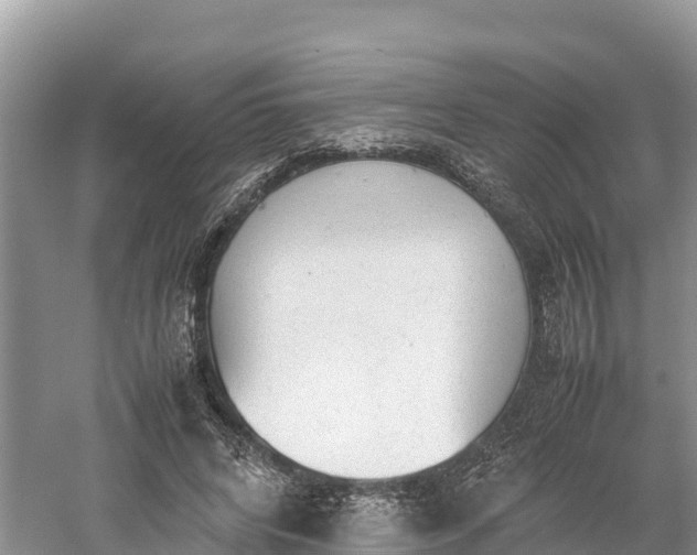 X0000061110592200511210936
