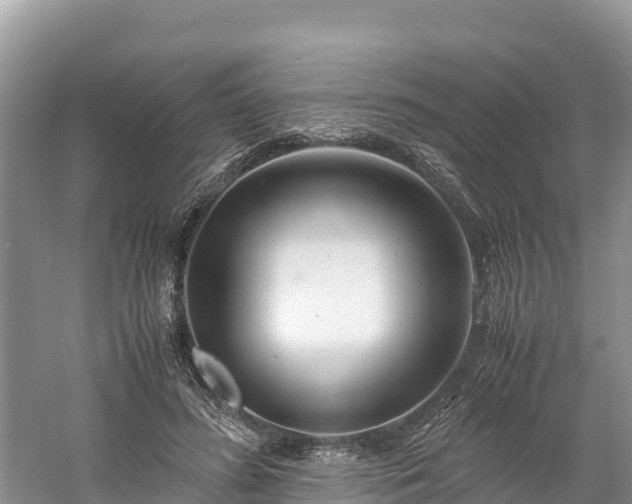 X0000061110596200511210936