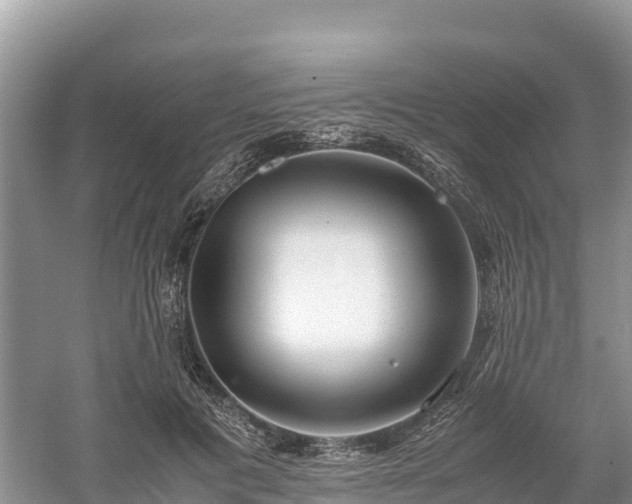 X0000061110601200511210936