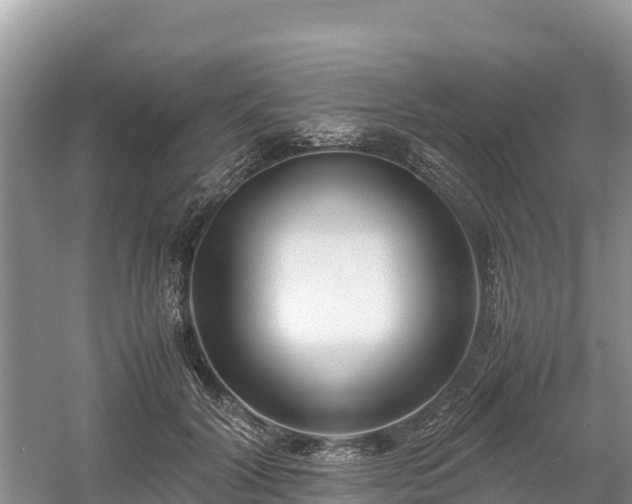 X0000061110604200511210936