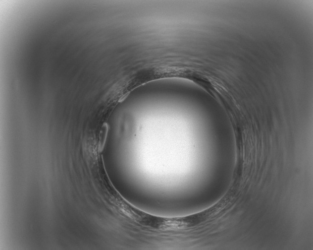 X0000061110617200511210936