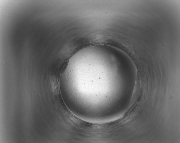 X0000061110624200511210935