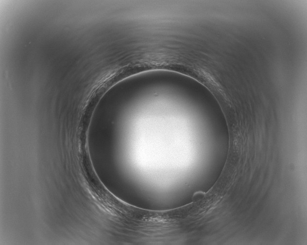 X0000061110635200511210935