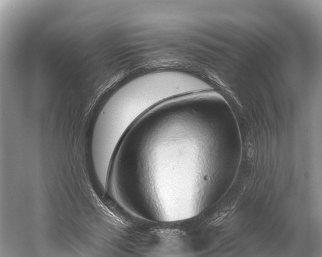X0000061110637200511210935