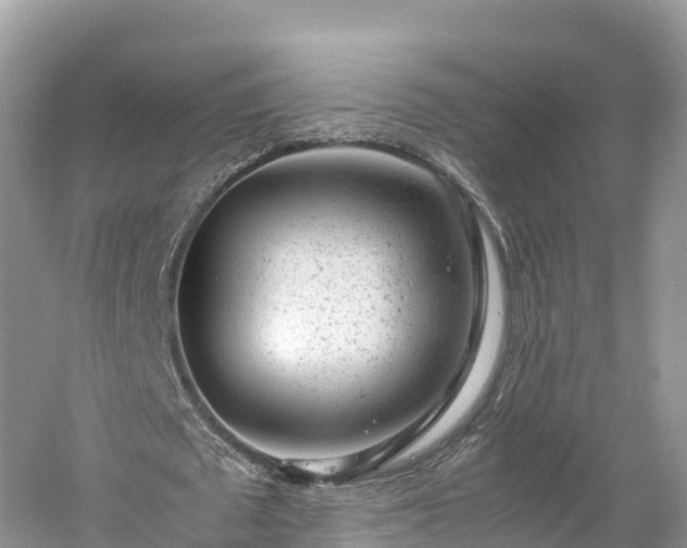 X0000061110673200511210935
