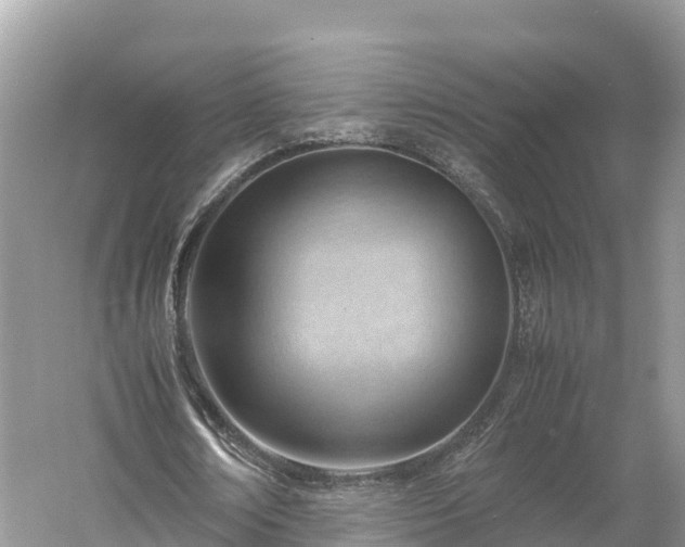 X0000061110674200511210935