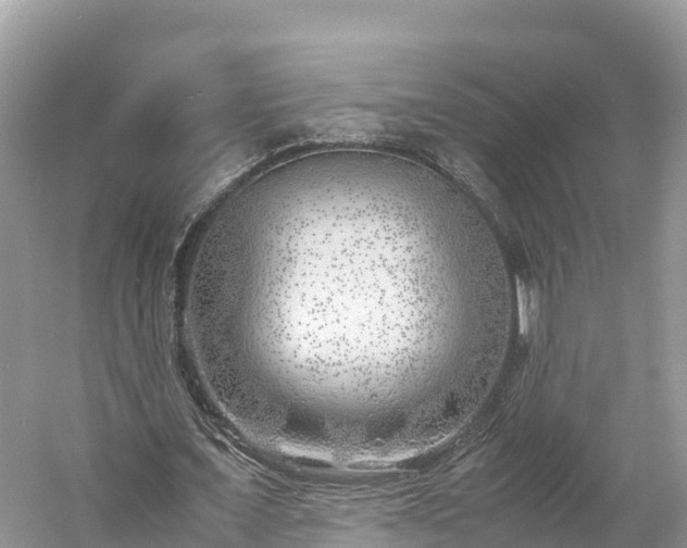 X0000061110675200511210935