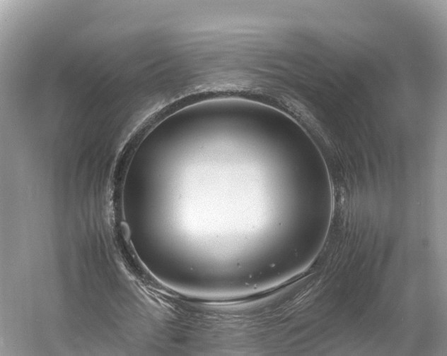 X0000061110676200511210935