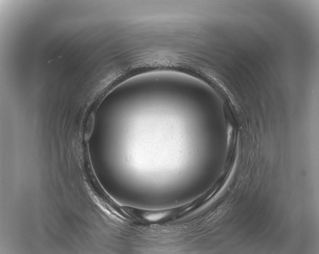X0000061110677200511210935