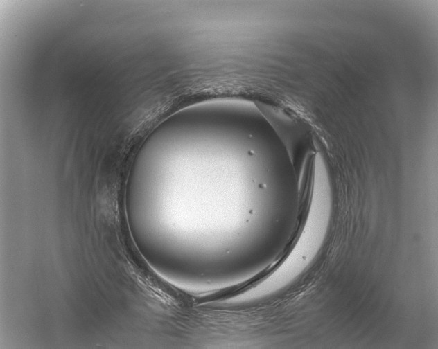 X0000061110681200511210934