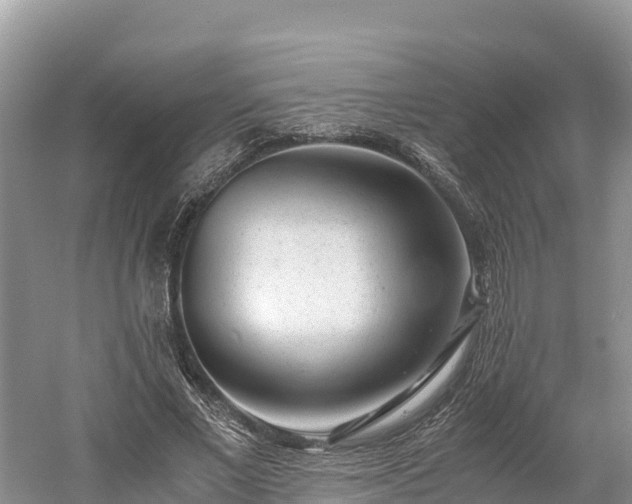 X0000061110685200511210934