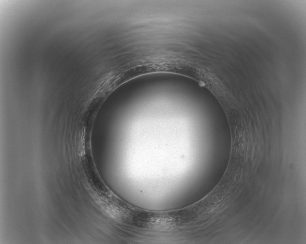 X0000061110694200511210934