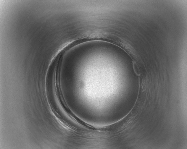 X0000061110722200511210933