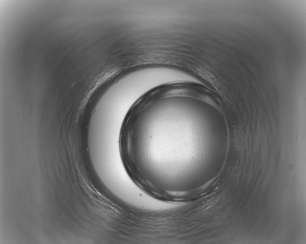 X0000061110731200511210933