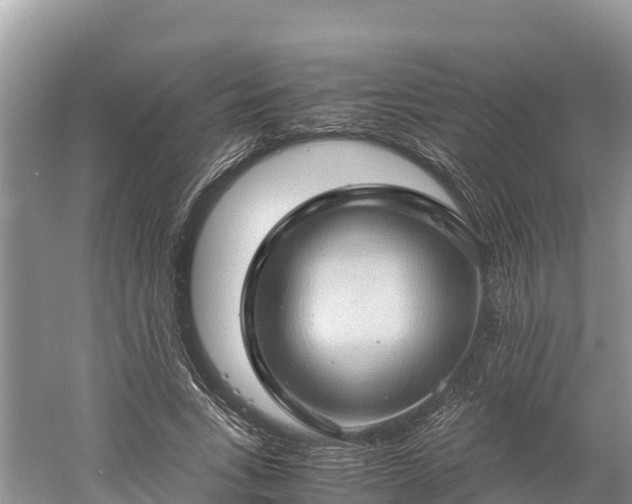 X0000061110735200511210933