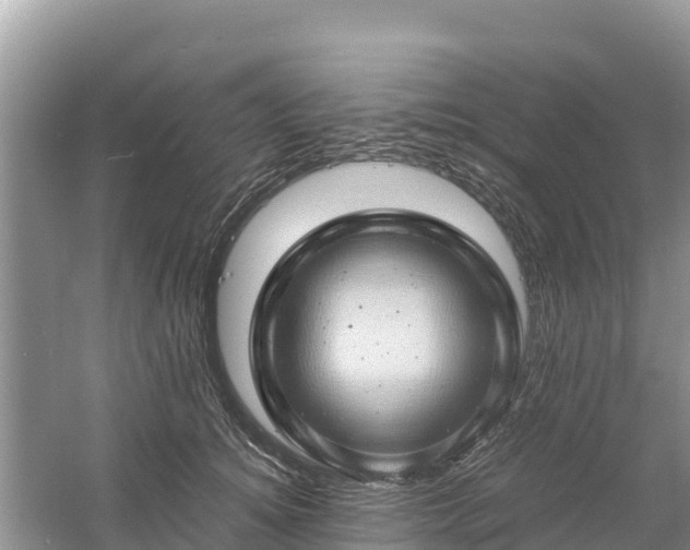 X0000061110756200511210934