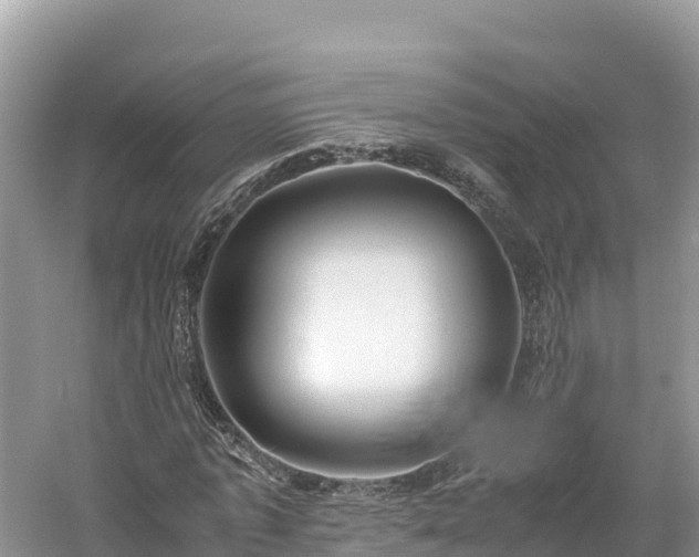 X0000061110773200511210933