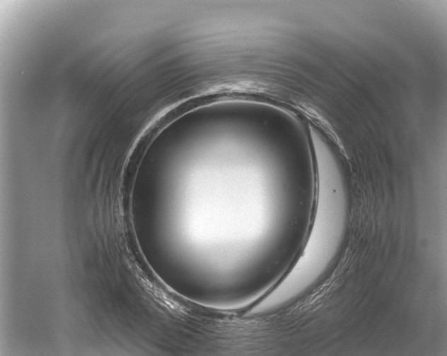 X0000061110784200511210933
