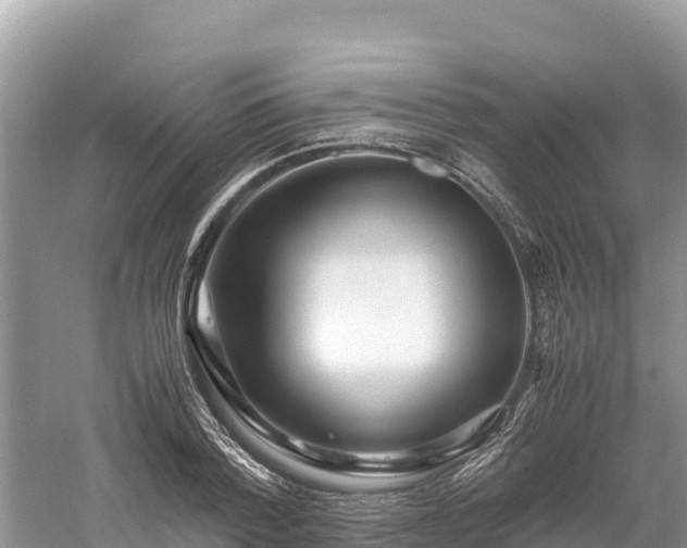 X0000061110788200511210933