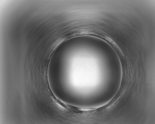 X0000061110801200511210932
