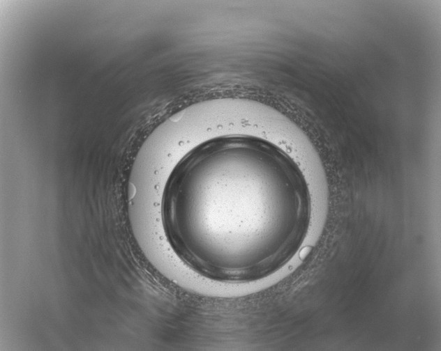 X0000061110820200511210931