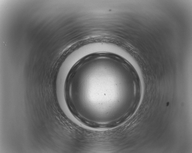 X0000061110822200511210931