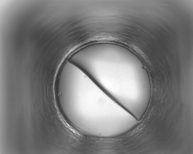 X0000061110840200511210932