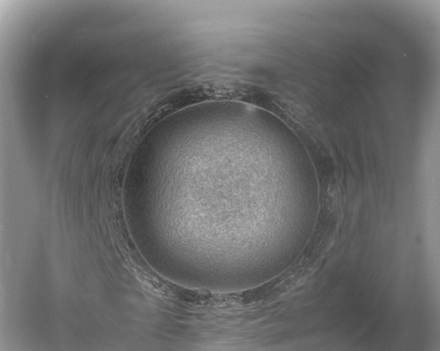 X0000061110865200511210931