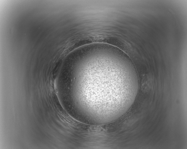 X0000061110866200511210931